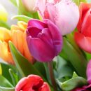 Почему покупать цветы онлайн выгодно?